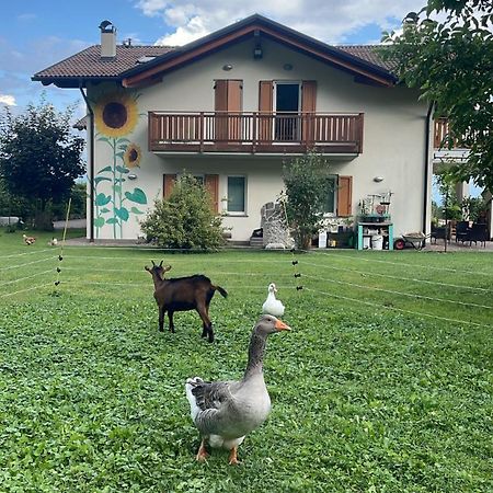 Agriturismo Girasole Fai della Paganella Ngoại thất bức ảnh